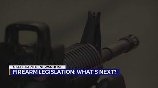 TN firearm legislation: What's next?