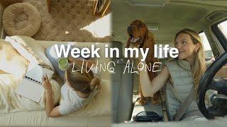 week in my life ️ updates da casa, viver sozinha, puppy blues