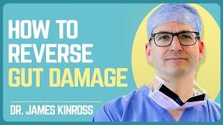 How to FIX Leaky Gut, Improve Health and Stop Cravings | Dr. James Kinross