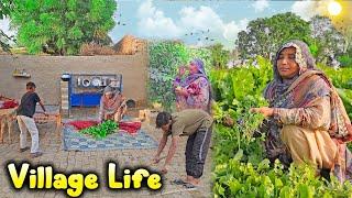 Sham Ka Khana Sarson Ka Saag Or Desi ROTI | Frying Saag Recipe || Traditional Life | 4K