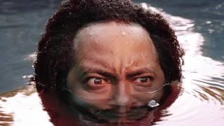 Thundercat - 'Captain Stupido'