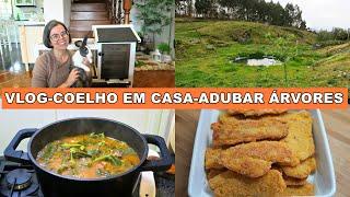 PORTUGUESA NO CAMPO-CUIDADOS COM O COELHO-ARROZ DE GRELOS#vivernocampo#simpleliving