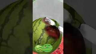 Watermelon Fella spits a Acapella