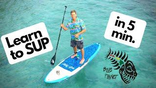 Stand Up Paddling für Anfänger: SUP Tips in 5 minuten