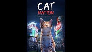 The Cat's Nation
