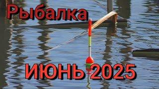 Рыбалка на поплавок 22 июня 2025 г. На реке! Утоп по колено ради карася! Ловля на корвалол
