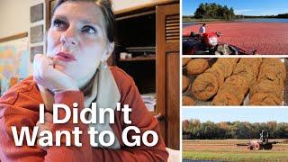 The Truth Behind Kayaking With Peter | Harvesting Cranberries | Baking a New Recipe