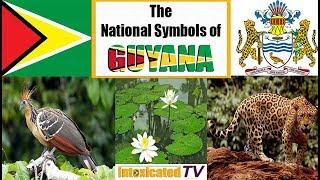 The National Symbols of Guyana | IntoxicatedTV