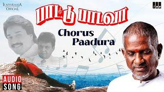 Chorus Paadura Song | Paattu Padava | Ilaiyaraaja | SPB  | Rahman | K S Chithra | Tamil Songs
