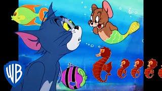 Tom et Jerry en Français  | Aventures de poissons  | WBKids