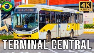 Uberlandia, Brazil - Buses at Central Bus Station