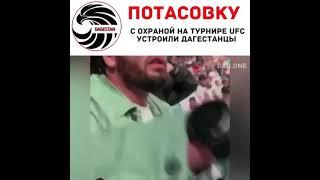 Абу-Даби турнире UFC, дагестанцы, имеющие высокие посты в республике