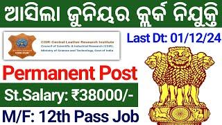 ଆସିଲା +2 ପାସ GOVT ନିଯୁକ୍ତି 2024 !! 12th Pass Govt Jobs 2024 Odisha !! Odisha Govt Job Vacancy 2024