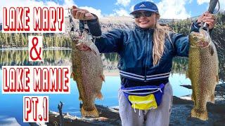 PT 1 | FAVORITE SPOT | LAKE MARY | LAKE MAMIE | MAMMOTH LAKES FISHING