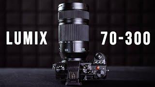 Panasonic Lumix S 70-300 f/4.5-5.6 OIS Macro In-Depth Review