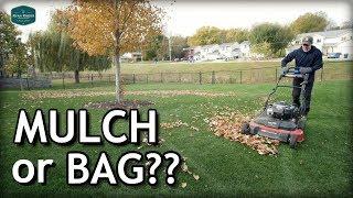 What To Do With Leaves On Your Lawn in Fall? + GIE, Lawn Tips MN Trip, Mowvember
