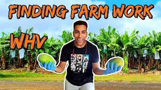 How to find Farmwork for your Australia Working Holiday Visa + A day in the life on the farm