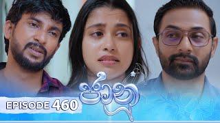 Jaanu | Episode 460 - (2024-11-28) | ITN