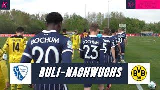 Viererpack gegen Ex-Klub! Kantersieg im Bundesliga-Duell | VfL Bochum U17 - Borussia Dortmund U17