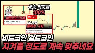 비트코인 알트코인 "마지막" 매수 기회.