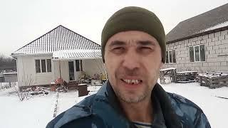 Провал в инкубации! Остались без петуха