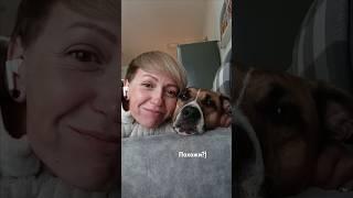 Однозначно родня) #ханна #родня #собачки #одинводин #любимая