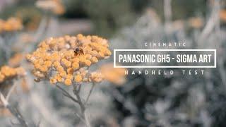 Panasonic GH5 w/Sigma 18-35mm and Variable ND Tiffen HANDHELD Test. Film Look 4k. #panasonic #sigma