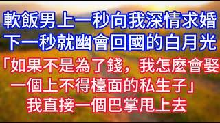 軟飯男上一秒向我深情求婚，下一秒就幽會回國的白月光，「如果不是為了錢，我怎麼會娶一個上不得檯面的私生子」我直接一個巴掌甩上去!#復仇 #逆襲 #爽文#白月光#心聲新語