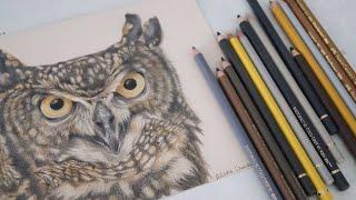TIPS TO IMPROVE YOUR REALISTIC COLORED PENCIL ART