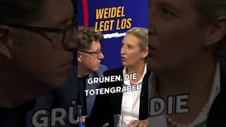 Weidel zerstört Grüne #shorts #viral #Thüringen #afd #landtagswahl #trending #shortsvideo