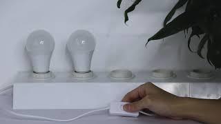 How to restore magic home bulb factory settings ?