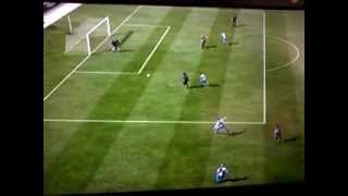 Fifa Tor (3)