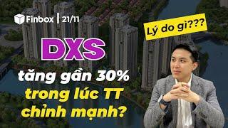 Yếu tố giúp cổ phiếu DXS tăng gần 30% trong lúc thị trường chỉnh mạnh