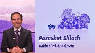 Parashat Shlach | Leadership styles   | Rabbi Shai Finkelstein