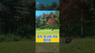 가평 농막 매매#