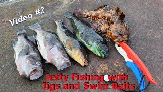 Jetty Fishing Video #2 Catching Rock Fish & Black Bass with Jigs and Swim Baits