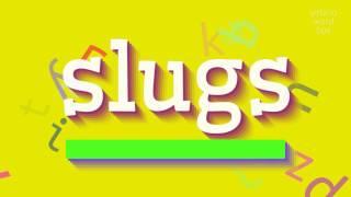 HOW TO SAY SLUGS? #slugs