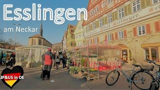 【Esslingenドイツ】Mittelalterliche Altstadt Esslingen am Neckar / Rundgang