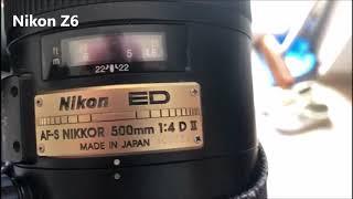 Speed Test Nikon 500 f4 Afs-II with Nikon Z6 , Nikon D810 & Nikon D500