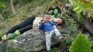 Single mother: Harvesting giant papaya to sell - taking care of chickens | Build a farm