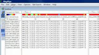 DNASTAR - Sequence Alignment Overview