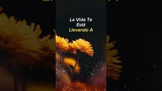 La Vida te Esta llevando - Meditacion - relajacion -musica relajante - relaxing music