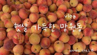 [아기새댁 브이로그] VLOG 햇살 가득한 망원동⎮군자동 카페펍 짐스하이드어웨이, 티노마드, 헤키, 망원시장, 희망청과, 카페 피엠오, 그라운드시소, 우연히웨스앤더슨