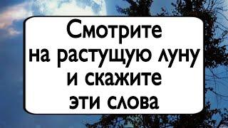 Смотрите на растущую луну и скажите эти слова. | Тайна Жрицы |