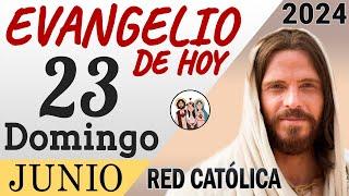 Evangelio de Hoy Domingo 23 de Junio de 2024 | REFLEXIÓN | Red Catolica