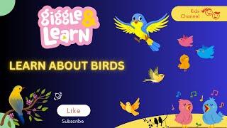 Learn About Birds | kids | nature | Learning Birds
