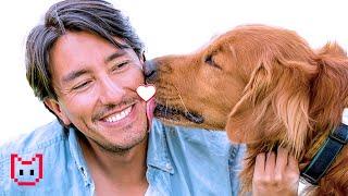 9 Ways to Instantly Make Your Dog Trust You | Canine Code 101