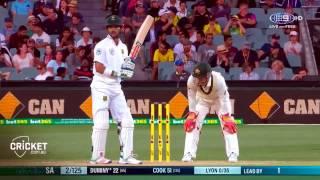 Matthew Wade Gets Vocal Behind The Stumps 2016