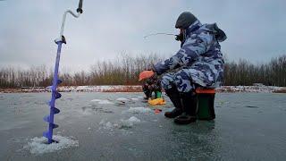 Нашли карася в камеру на реке. Ловля карася на боковой кивок зимой