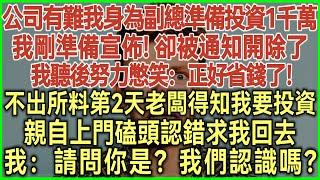 公司有難我身為副總準備投資1千萬！不料我剛準備宣佈！卻被通知開除了！我聽後努力憋笑：正好省錢了！不出所料第2天老闆得知我要投資！親自上門磕頭認錯求我回去！我：請問你是？我們認識嗎？#完結爽文#情感故事